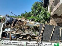 Shed Removal in Jamestown, ND
