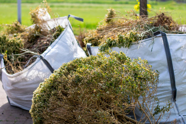 Best Demolition Debris Removal  in Jamestown, ND
